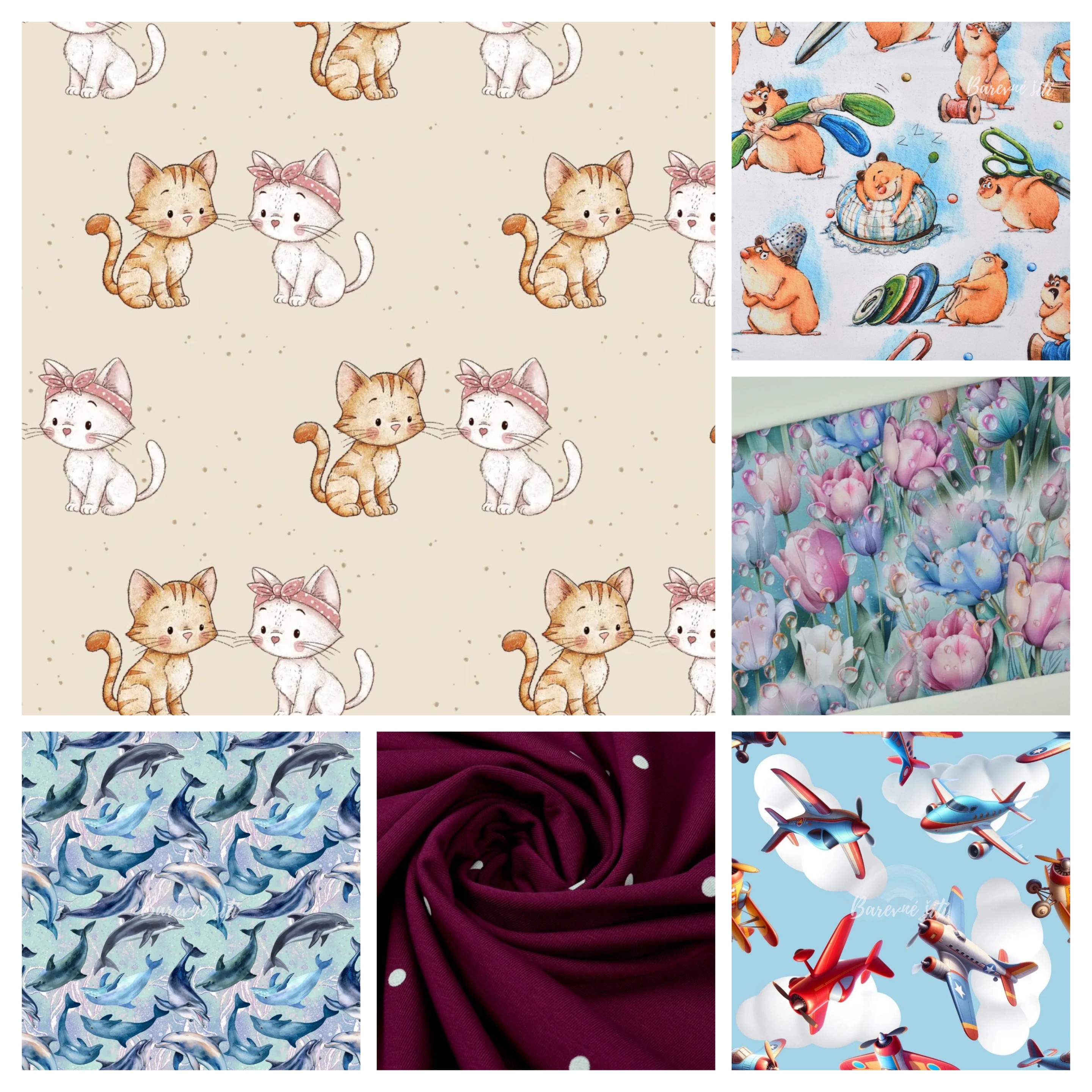 20260302_125310-COLLAGE